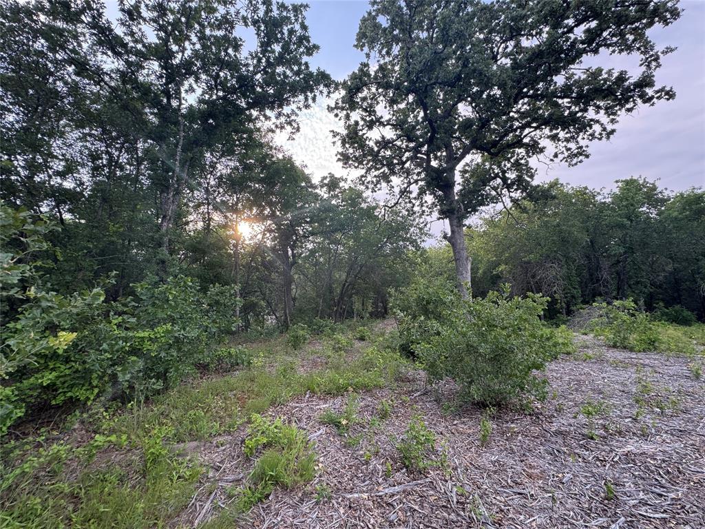 1051 Rose Court Nemo, TX 76070 - Photo 2 of 39 a big yard with lots of green space and deers