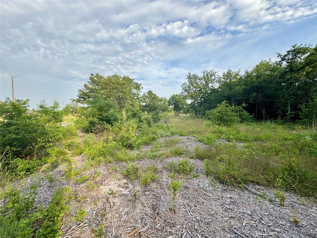 1051 Rose Court Nemo, TX 76070 - Photo 21 of 39 a big yard with lots of green space and fog
