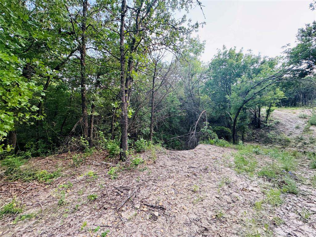 1051 Rose Court Nemo, TX 76070 - Photo 22 of 39 a backyard of a house with lots of green space