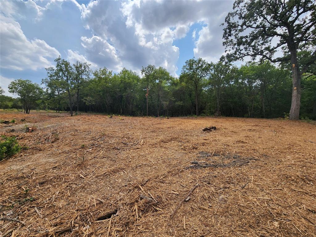 1051 Rose Court Nemo, TX 76070 - Photo 25 of 39 a backyard of a house with lots of green space