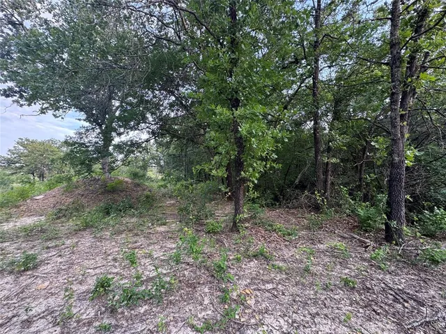 $139,000 | 1051 Rose Court, Nemo, TX 76070