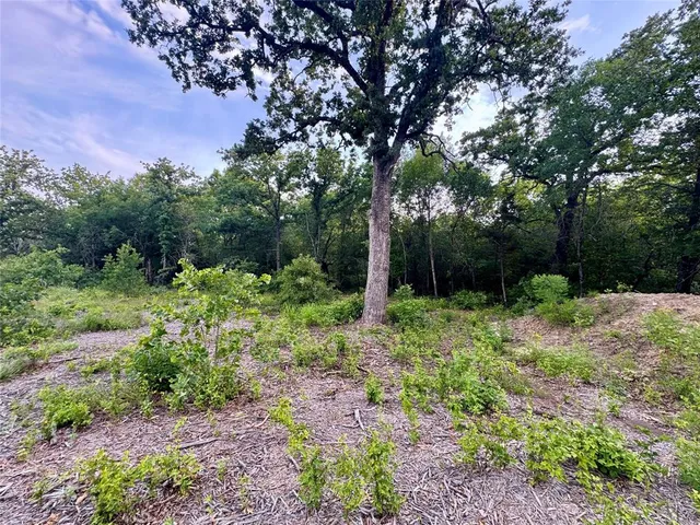 $139,000 | 1051 Rose Court, Nemo, TX 76070