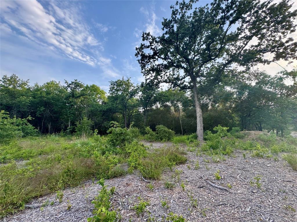 1051 Rose Court Nemo, TX 76070 - Photo 7 of 39 a big yard with lots of green space and plants