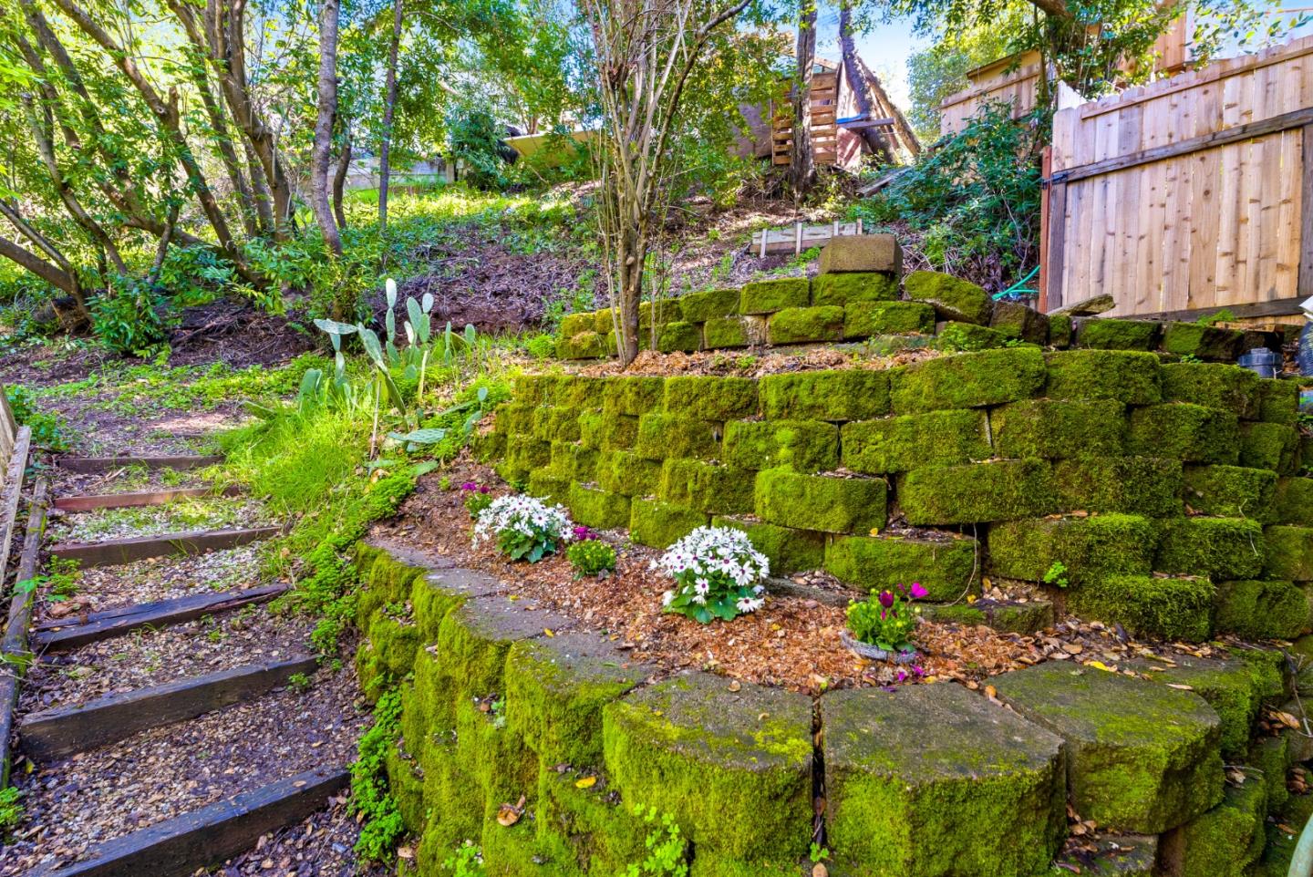 482 Riverview Drive Boulder Creek, CA 95006 - Photo 22 of 27 a view of a garden with plants