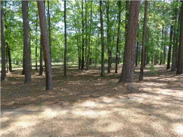 4006 6 Mile Road Crystal Springs, MS 39059 - Photo 12 of 30 Photo 12
