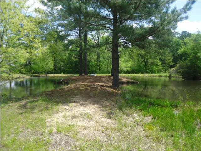 4006 6 Mile Road Crystal Springs, MS 39059 - Photo 20 of 30 Photo 20