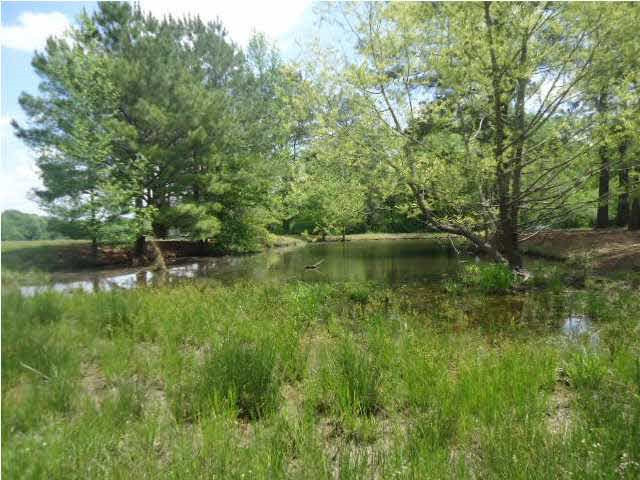 4006 6 Mile Road Crystal Springs, MS 39059 - Photo 21 of 30 Photo 21
