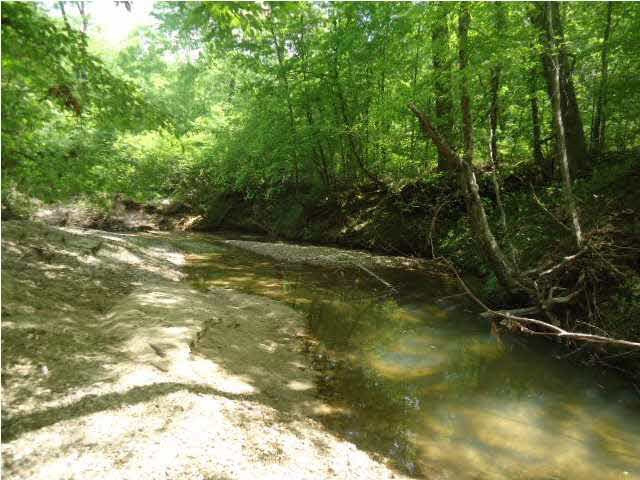 4006 6 Mile Road Crystal Springs, MS 39059 - Photo 23 of 30 Photo 25