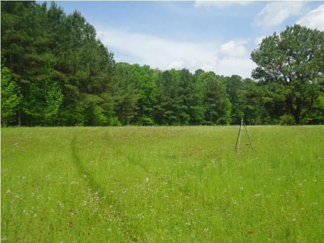 4006 6 Mile Road Crystal Springs, MS 39059 - Photo 24 of 30 Photo 26
