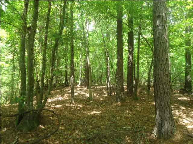 4006 6 Mile Road Crystal Springs, MS 39059 - Photo 26 of 30 Photo 28