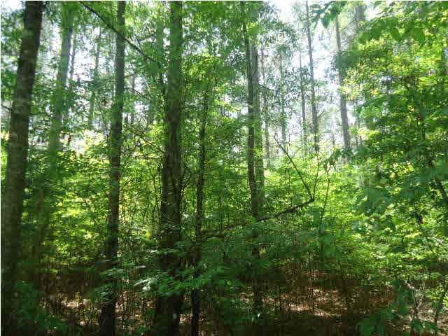 4006 6 Mile Road Crystal Springs, MS 39059 - Photo 27 of 30 Photo 29