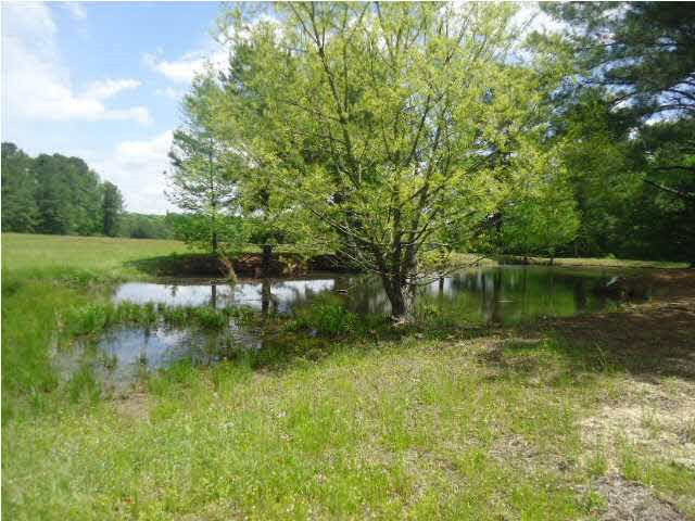 4006 6 Mile Road Crystal Springs, MS 39059 - Photo 29 of 30 Photo 31