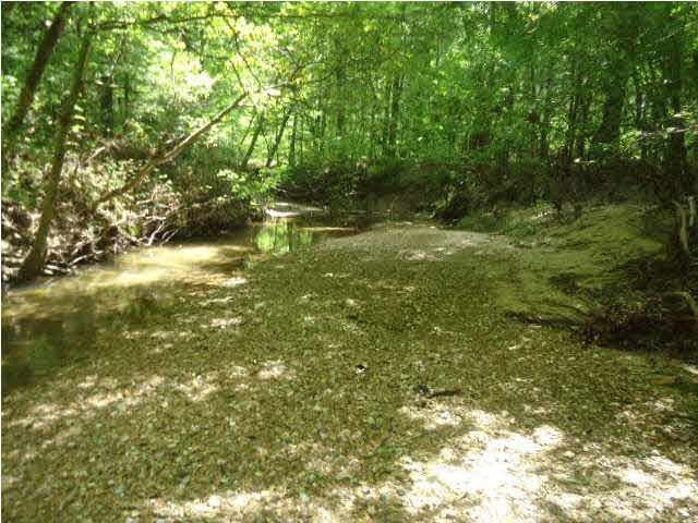 4006 6 Mile Road Crystal Springs, MS 39059 - Photo 30 of 30 Photo 32