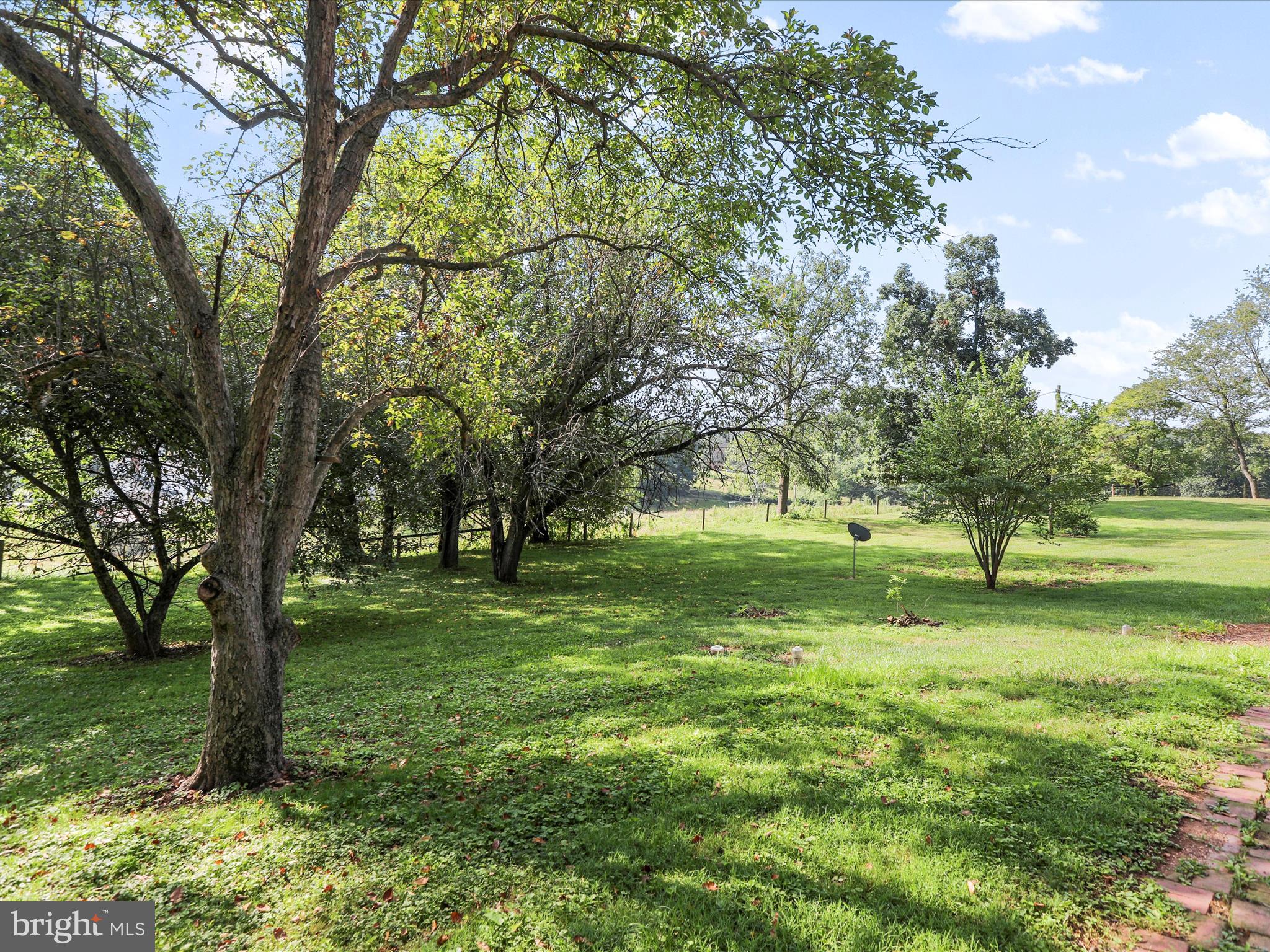 11856 Nicholson Road Keymar, MD 21757 - Photo 21 of 31 a view of a yard with a tree