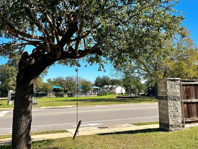 a view of a yard with a tree