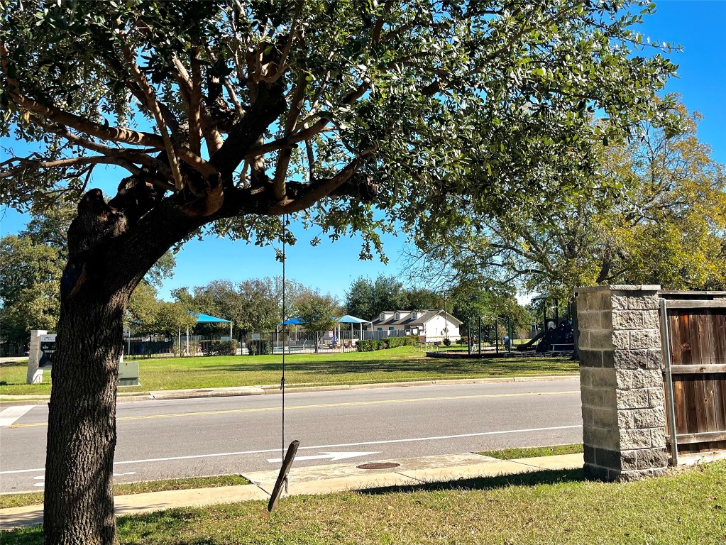 206 Presidio Drive Leander, TX 78641 - Photo 13 of 14 a view of a yard with a tree