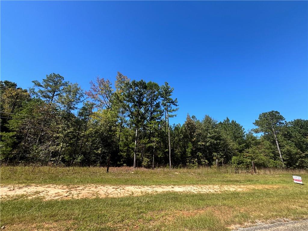 178 Whitetail Road Seale, AL 36875 - Photo 1 of 2 Gallery Image 1