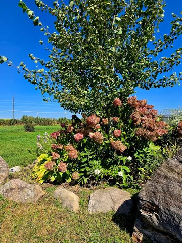 $1,800,000 | 16385 310th Street, Center City, MN 55012