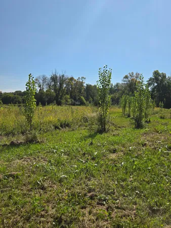 $1,800,000 | 16385 310th Street, Center City, MN 55012