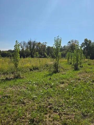 $1,800,000 | 16385 310th Street, Center City, MN 55012