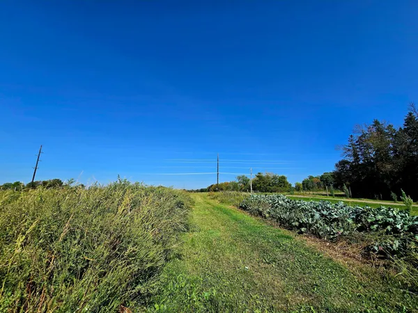 $1,800,000 | 16385 310th Street, Center City, MN 55012