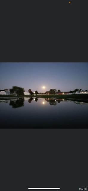 8441 Old Moro Road Dorsey, IL 62021 - Photo 34 of 80