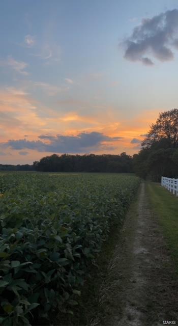 8441 Old Moro Road Dorsey, IL 62021 - Photo 35 of 80