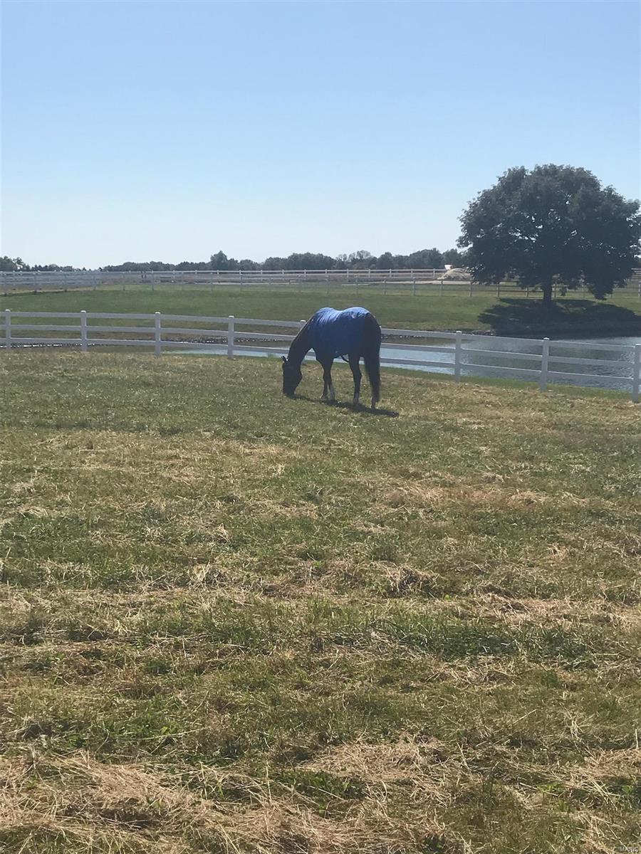 8441 Old Moro Road Dorsey, IL 62021 - Photo 78 of 80