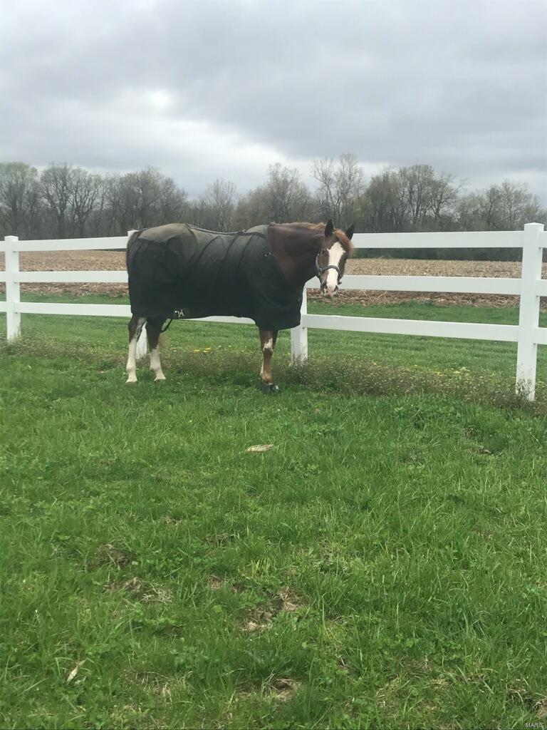 8441 Old Moro Road Dorsey, IL 62021 - Photo 80 of 80