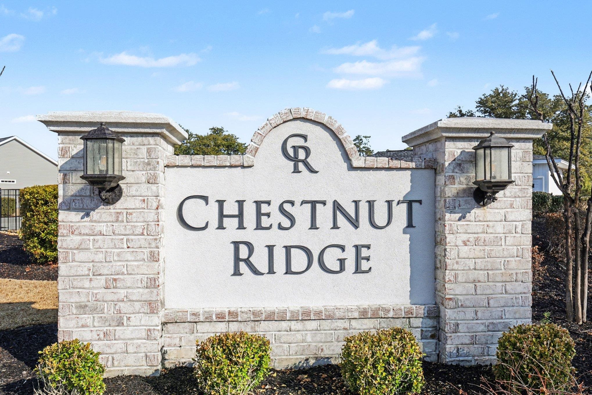 391 Hayloft Circle Conway, SC 29526 - Photo 3 of 38