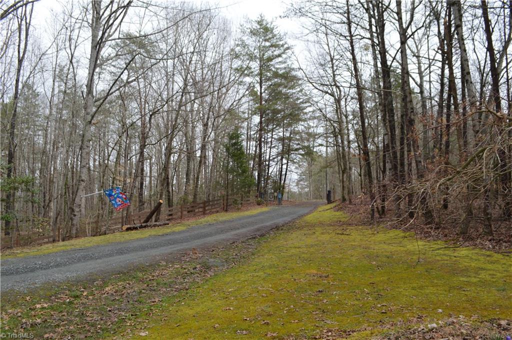 173 Ellis Hardy Road Pinnacle, NC 27043 - Photo 29 of 30