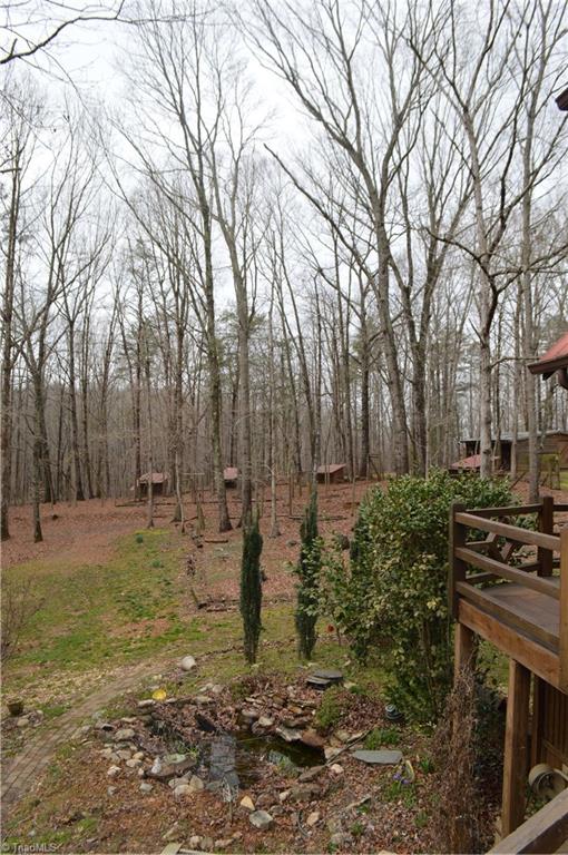 173 Ellis Hardy Road Pinnacle, NC 27043 - Photo 30 of 30