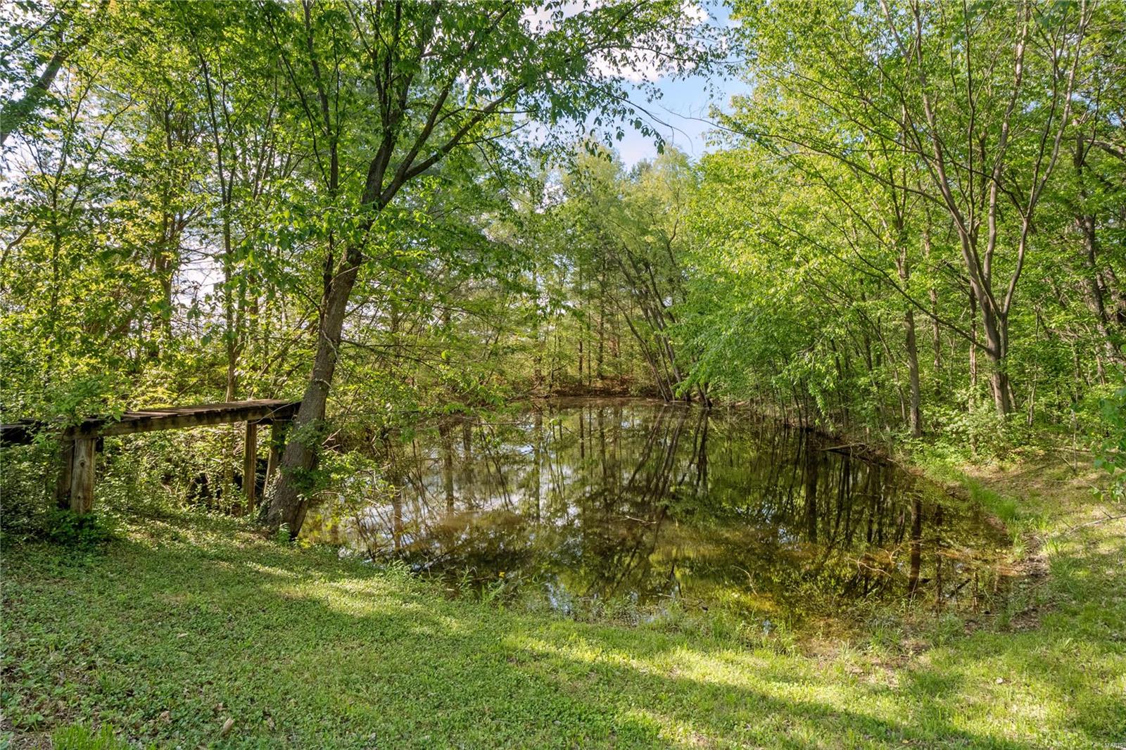 8776 Prairietown Road Dorsey, IL 62021 - Photo 26 of 30