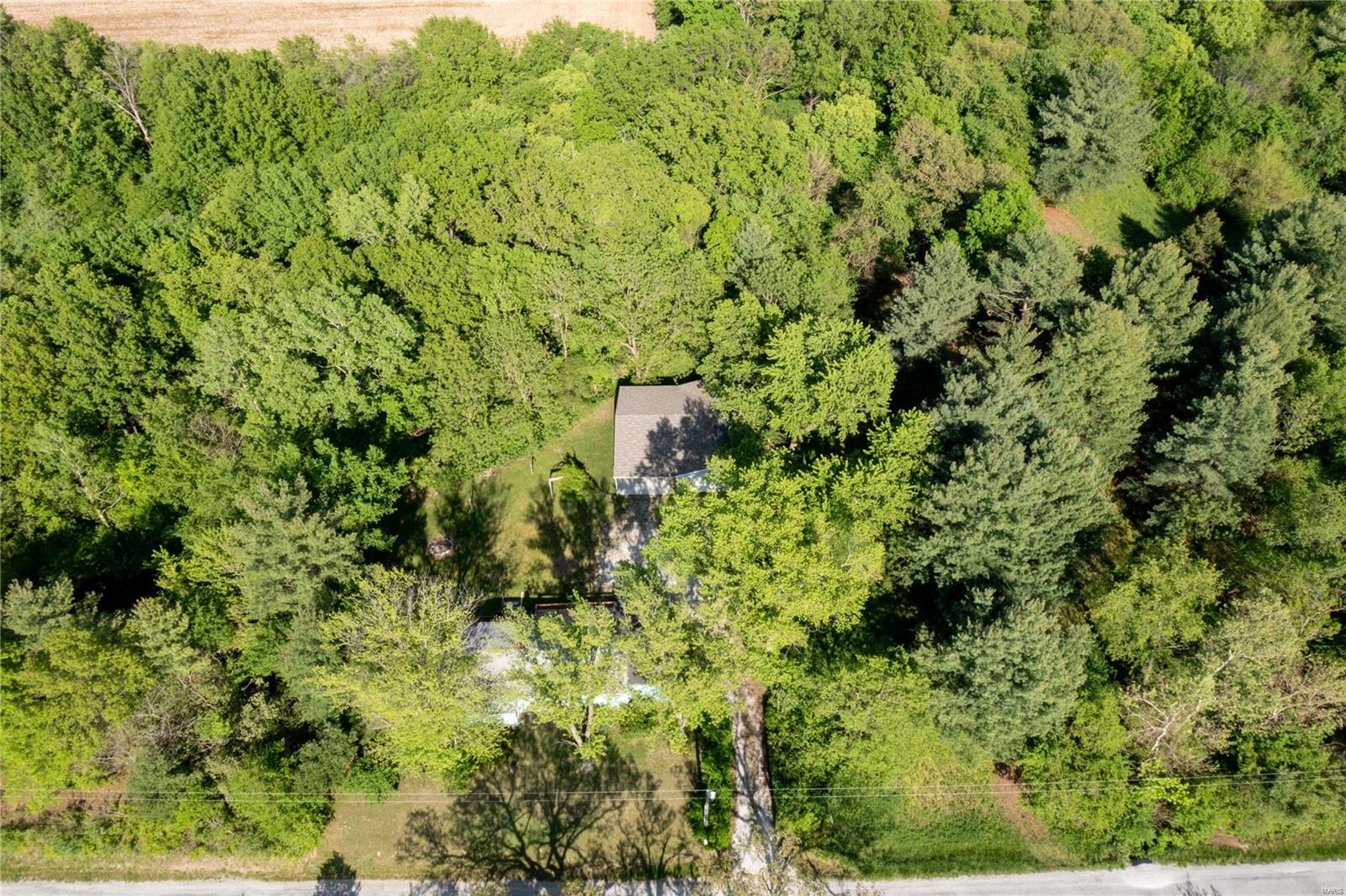 8776 Prairietown Road Dorsey, IL 62021 - Photo 28 of 30