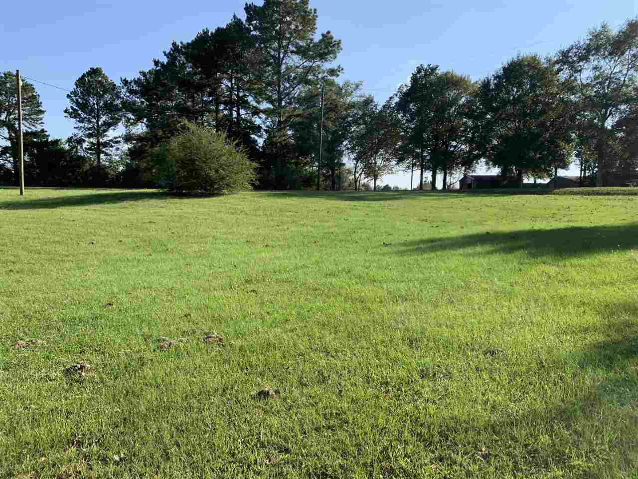 344 James Berry Road Magee, MS 39111 - Photo 12 of 42 Photo 12