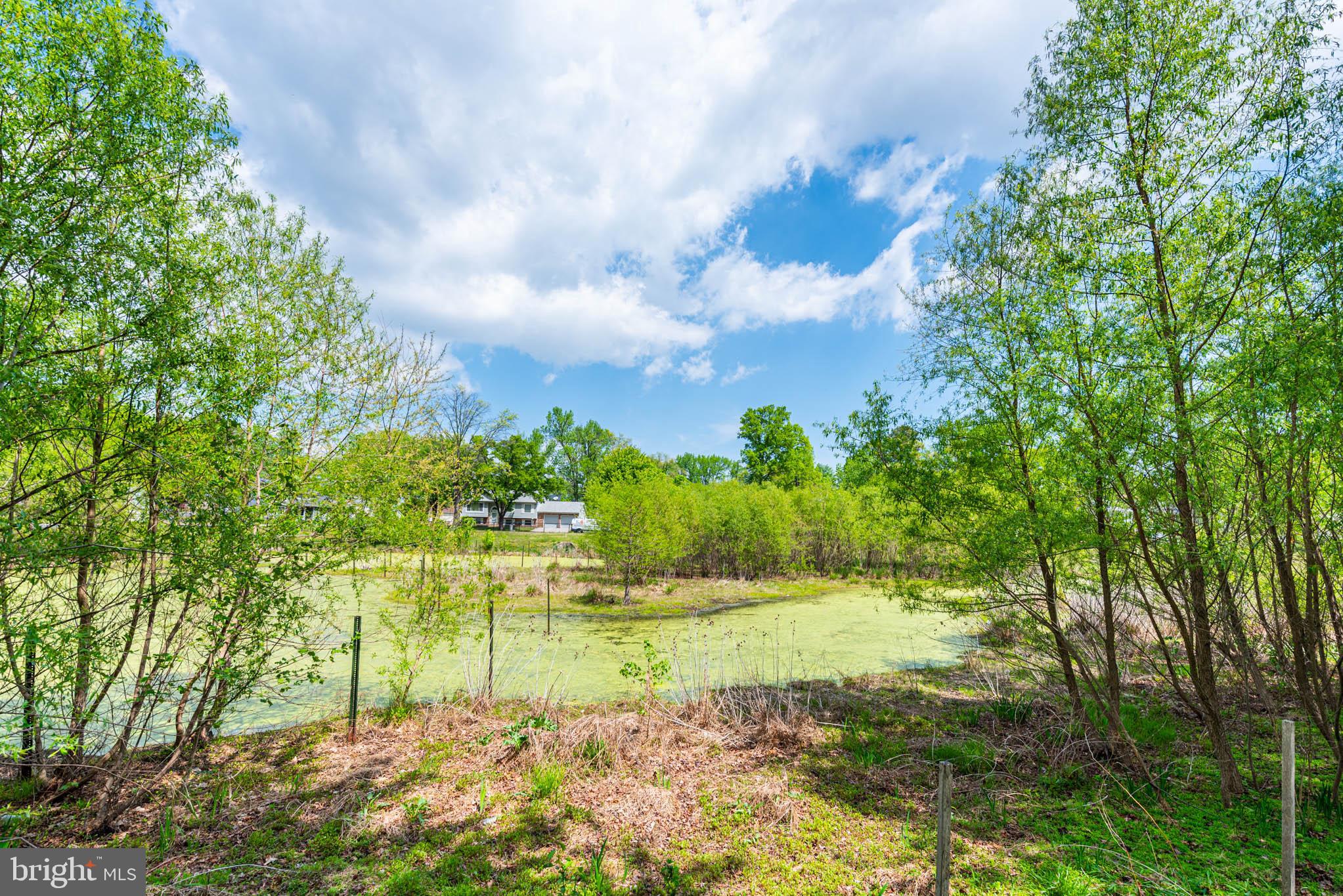 7674 Tuckerman Drive Hanover, MD 21076 - Photo 43 of 45 a view of yard with green space