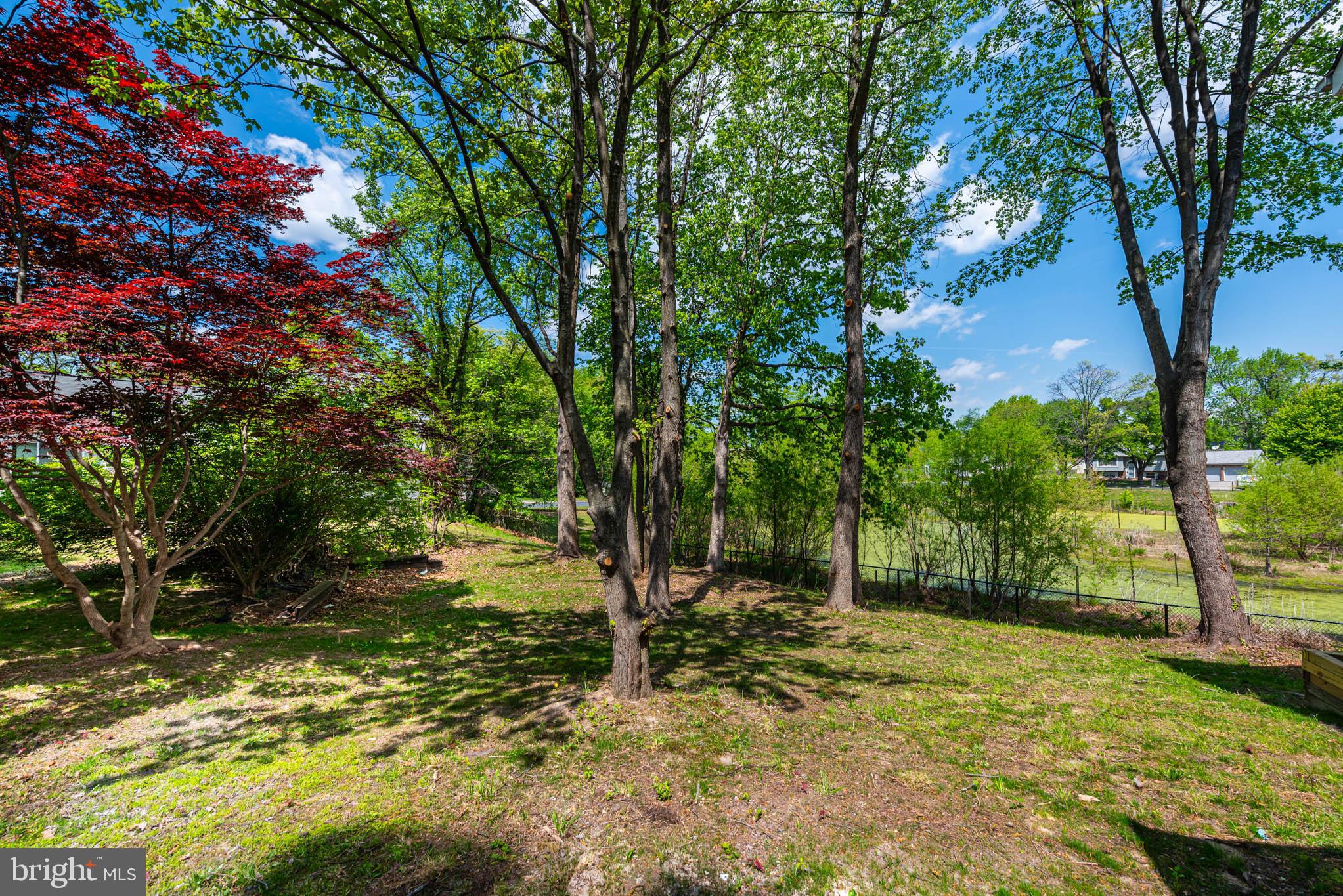 7674 Tuckerman Drive Hanover, MD 21076 - Photo 45 of 45 a view of a tree in the middle of a yard