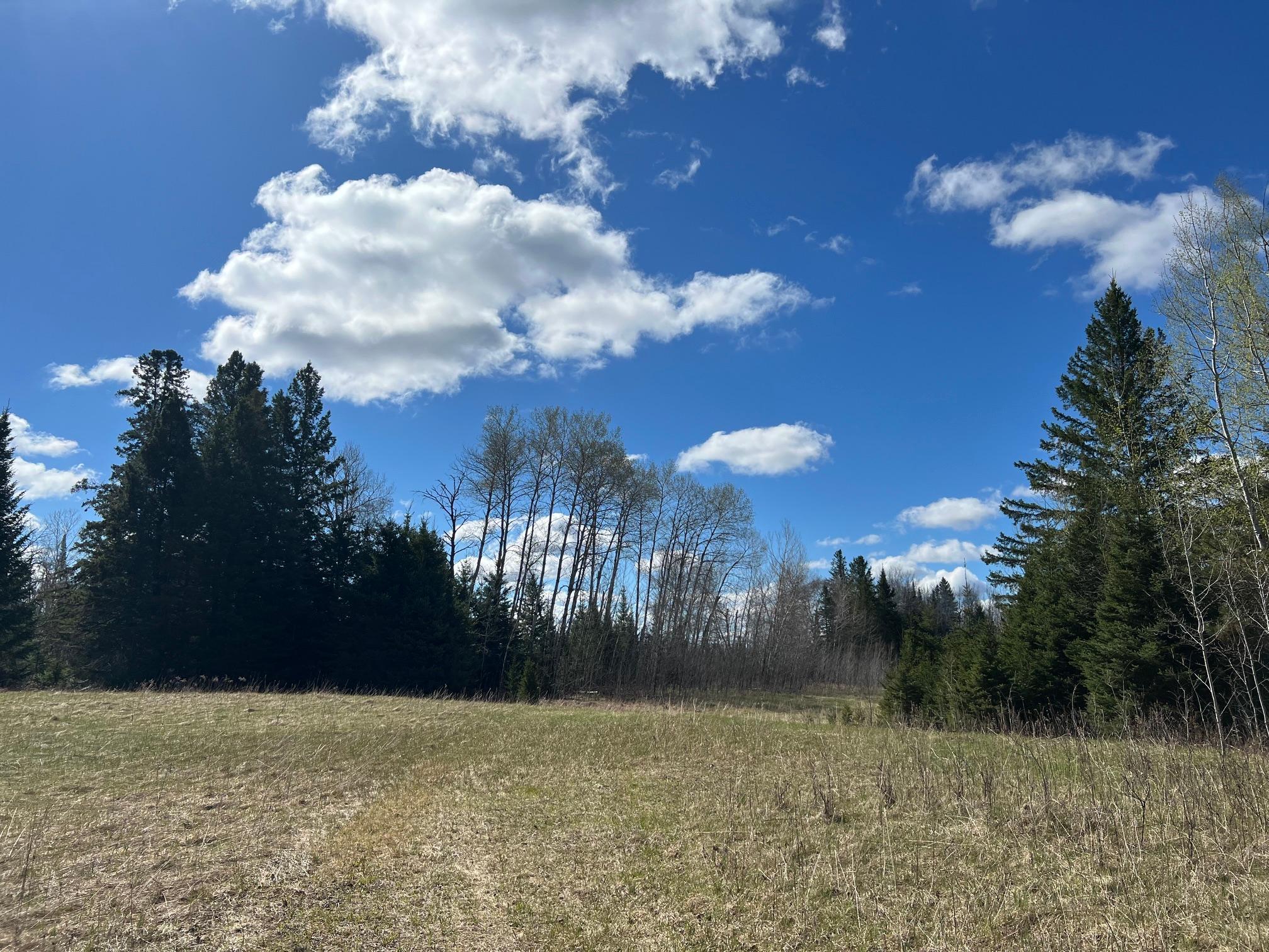 Parcel D Township Road East Floodwood, MN 55736 - Photo 16 of 22