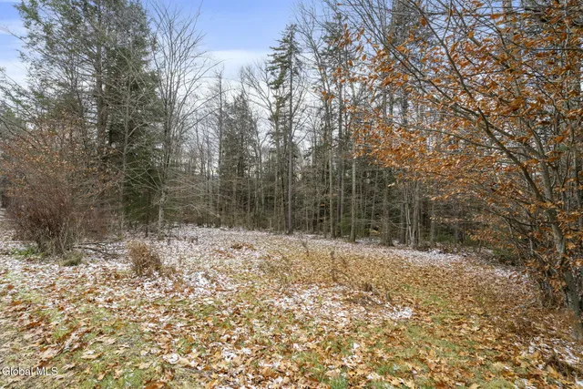 $700,000 | 345 Wesley Acres Road, Hunter, NY 12436