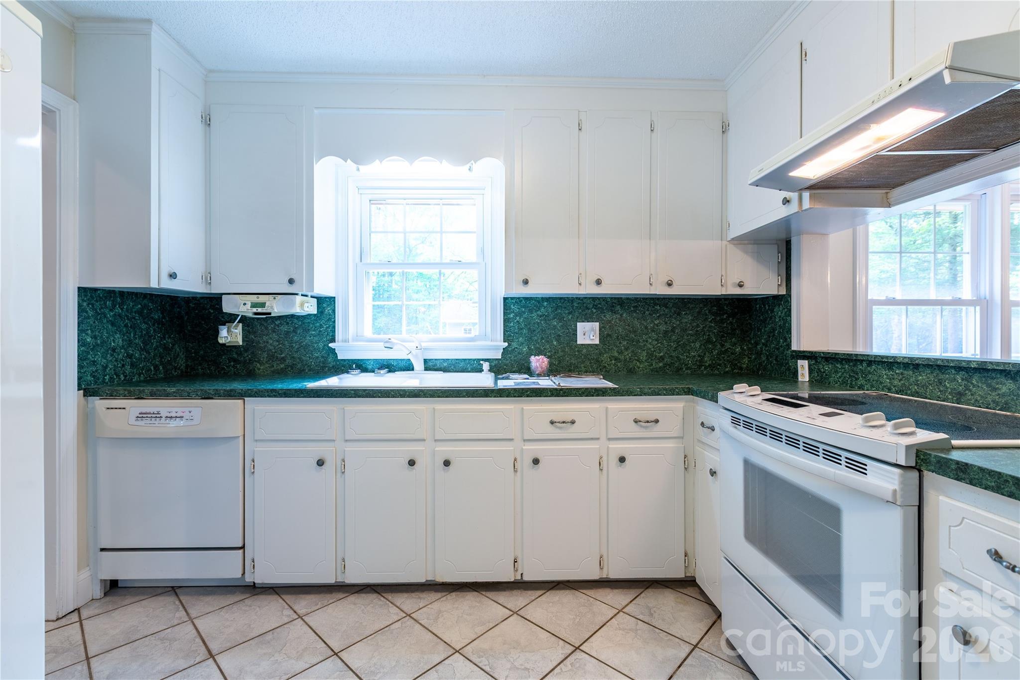 1224 Loop Road Hookerton, NC 28538 - Photo 16 of 47 a kitchen with cabinets appliances a sink and a window