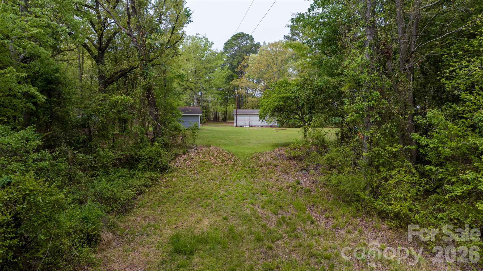 1224 Loop Road Hookerton, NC 28538 - Photo 4 of 47 a view of a yard with a tree