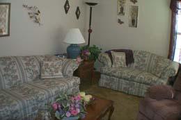 4112 South Travis Street Amarillo, TX 79110 - Photo 3 of 5 a living room with furniture and flowers