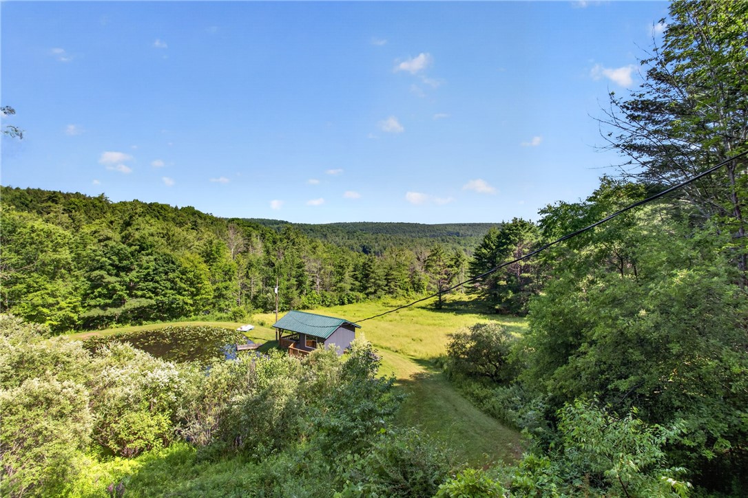 400 Souer Road Stamford, NY 12167 - Photo 17 of 46