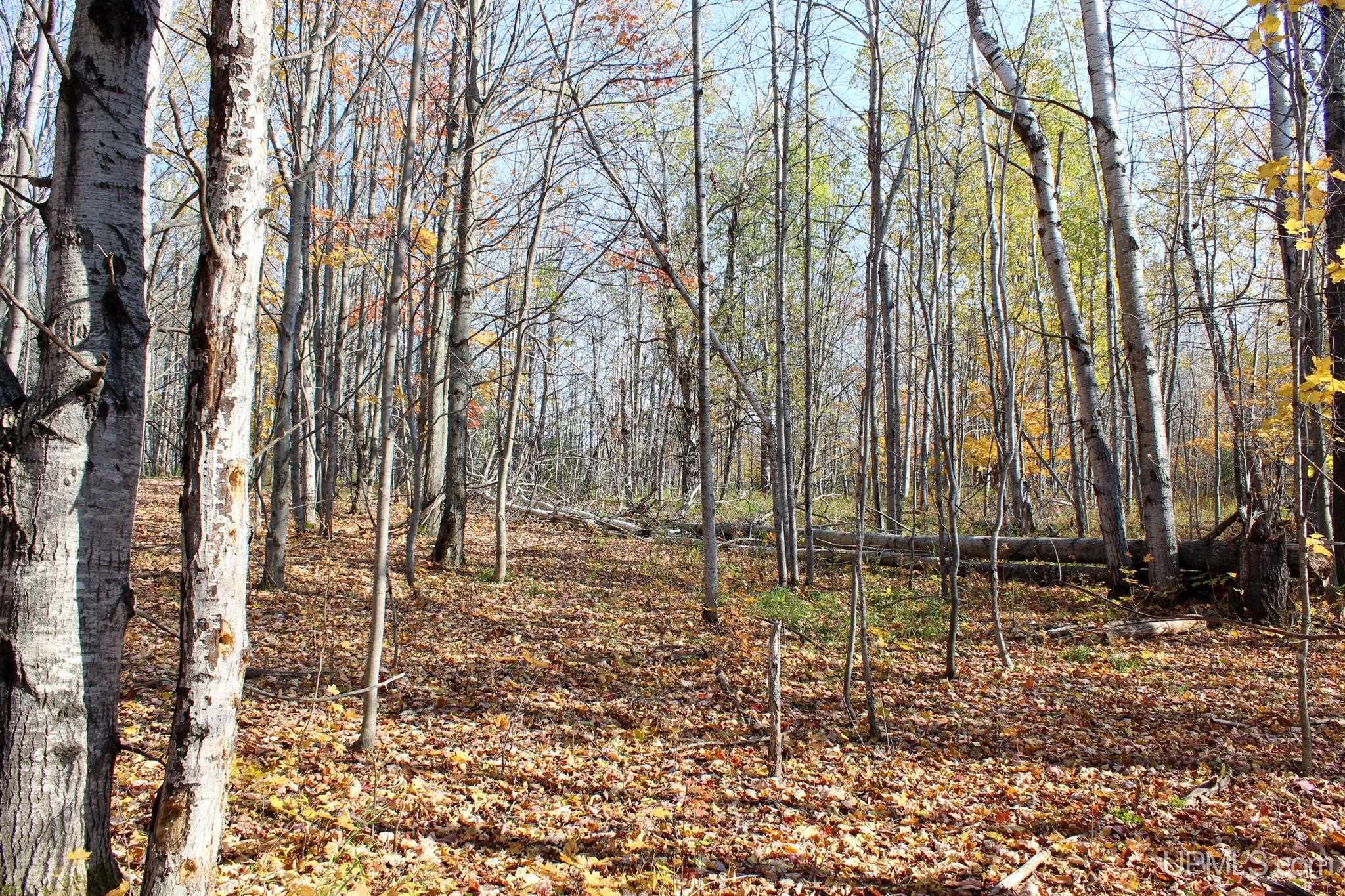 Tbd Pike River Road Chassell, MI 49916 - Photo 29 of 57 Gallery Image 29