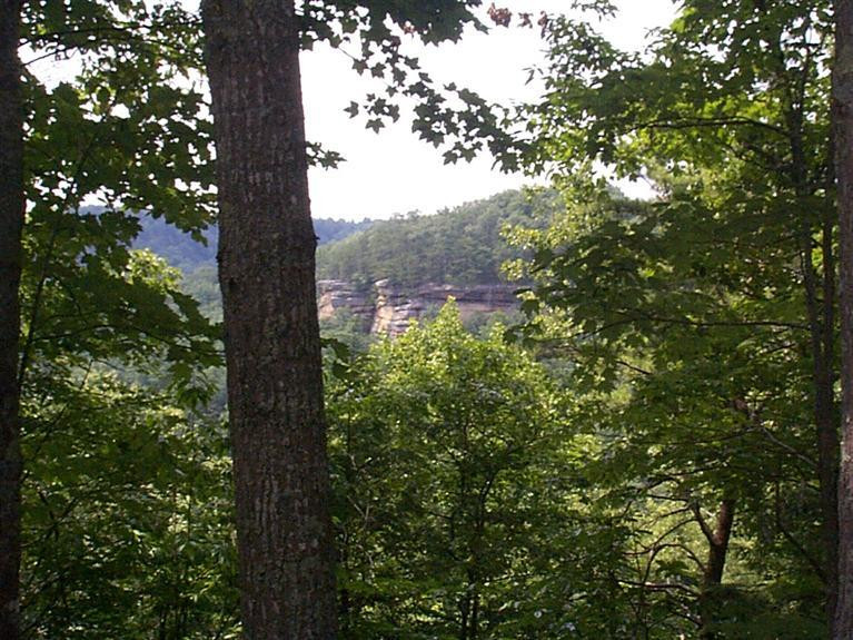 6 Steve Combs Road Wellington, KY 40387 - Photo 4 of 21 Photo 4