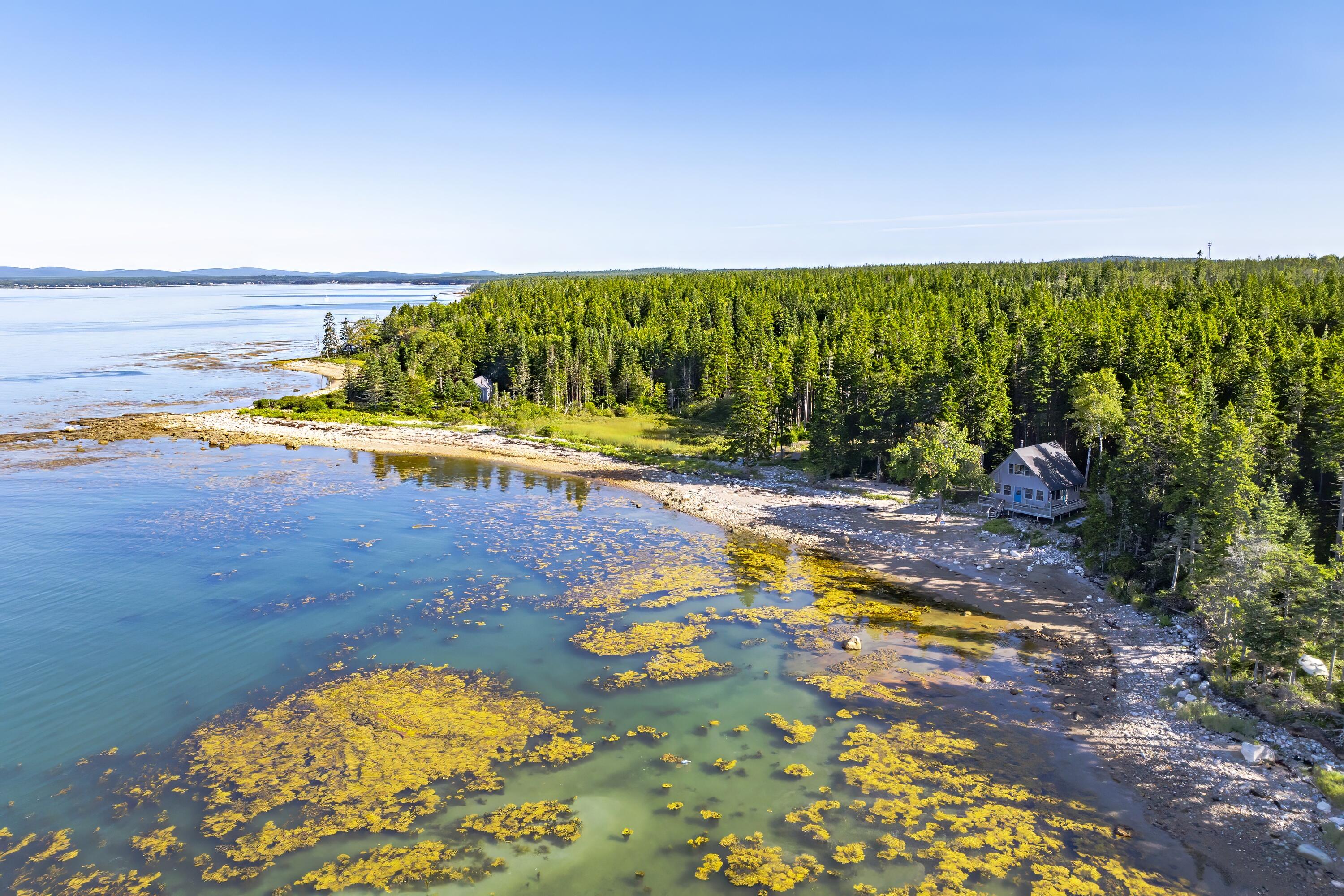 209 Wilderness Shore Road South Steuben, ME 04680 - Photo 60 of 79 60- 209 Wilderness Shore Road HiRes-DTP