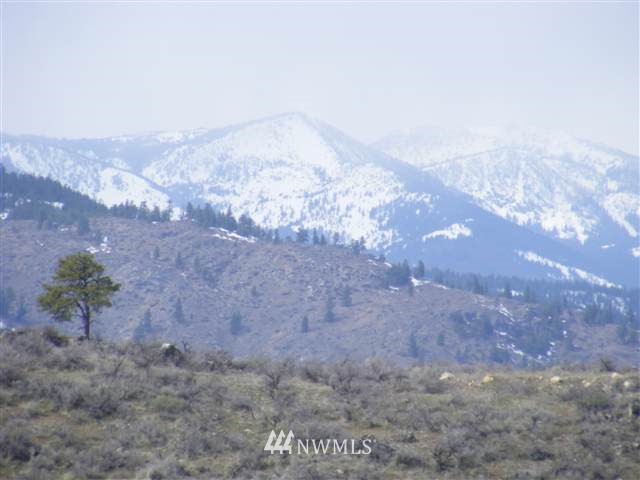 32 Bill Shaw Road Pateros, WA 98846 - Photo 3 of 3