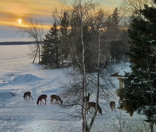 $1,350,000 | 33685 North Cotton Lake Road, Rochert, MN 56578