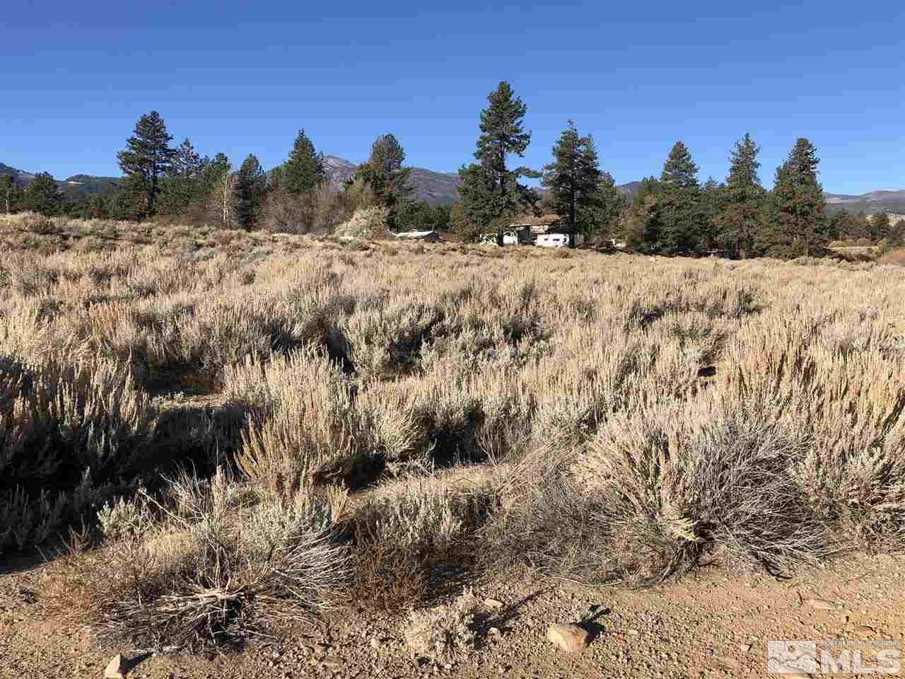 5055 Callahan Road Reno, NV 89511 - Photo 3 of 6 Photo 3