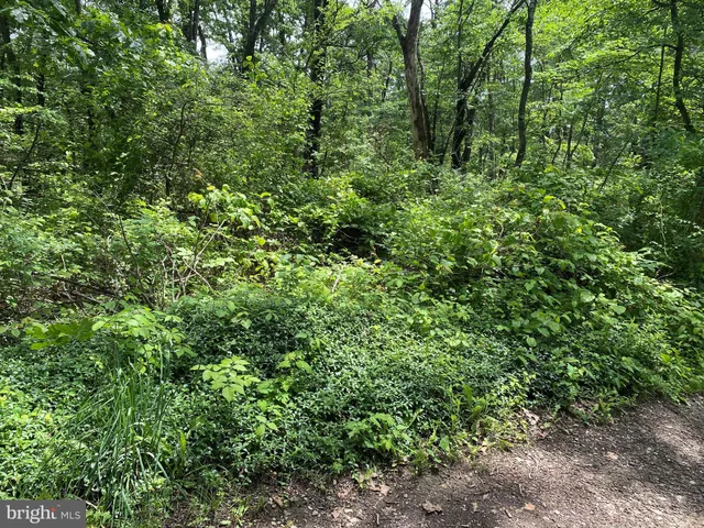 $5,500 | Oakwood Street, Cumberland, MD 21502